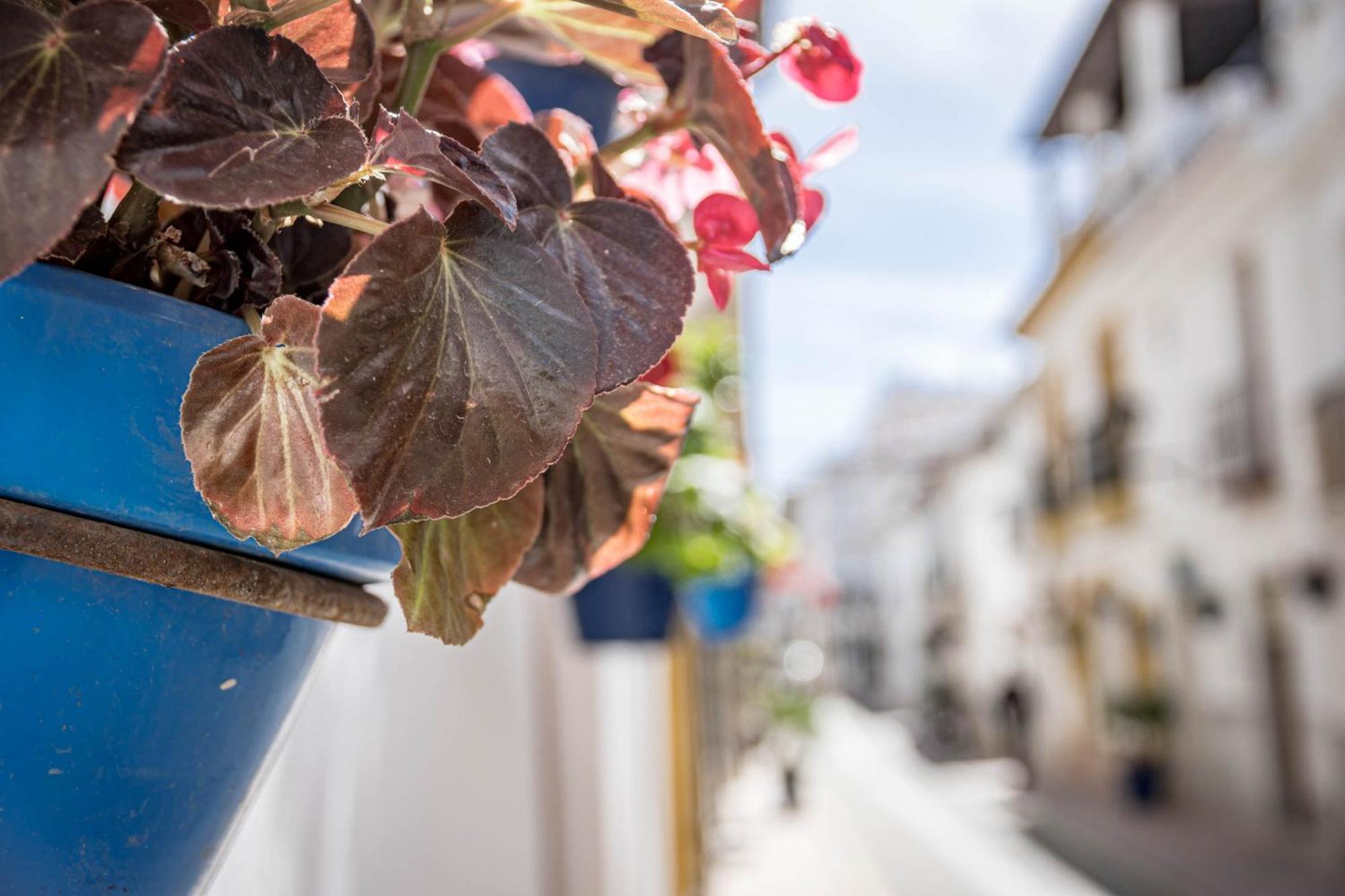 Seaclub Suites Estepona Dış mekan fotoğraf
