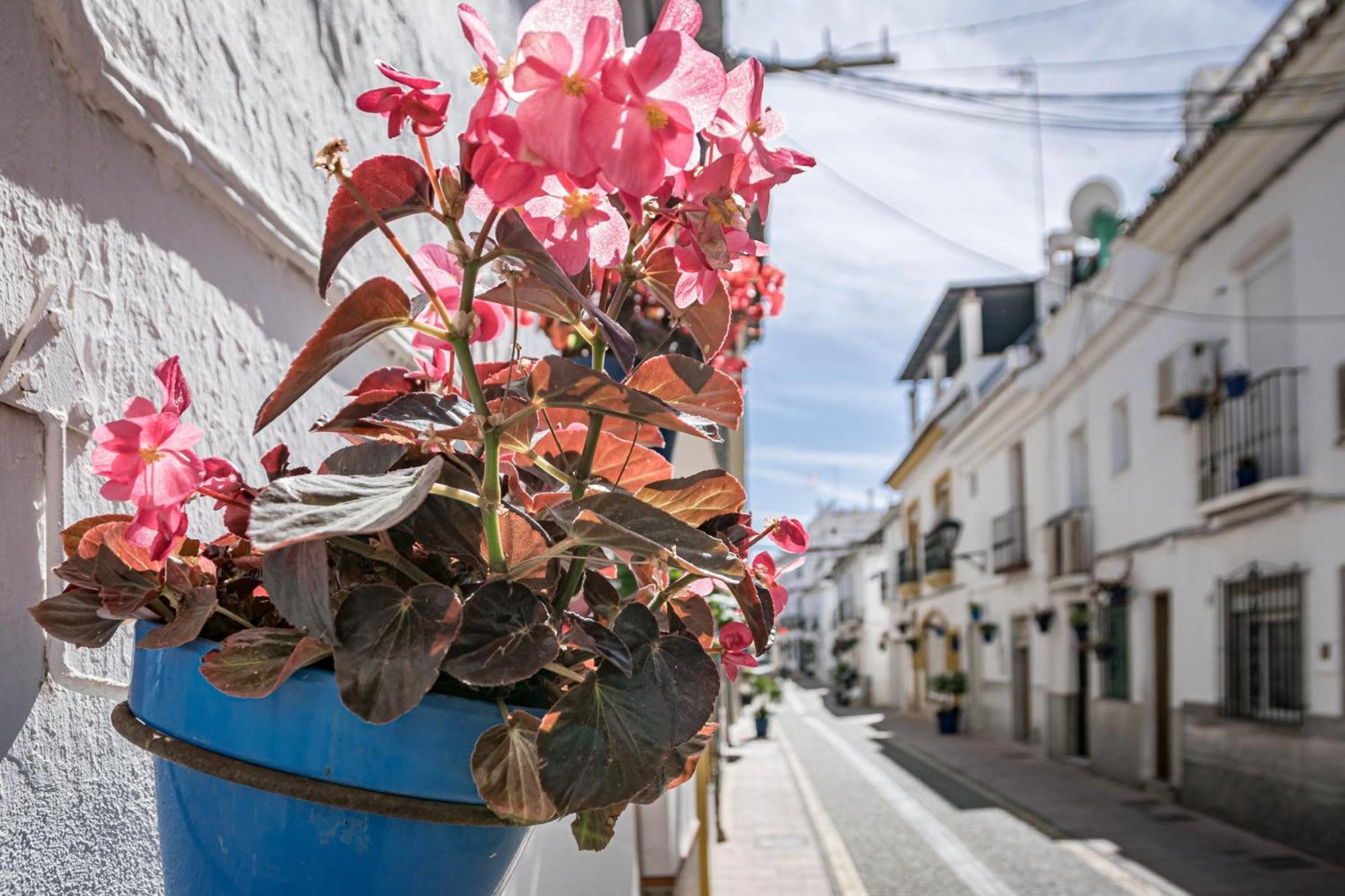Seaclub Suites Estepona Dış mekan fotoğraf